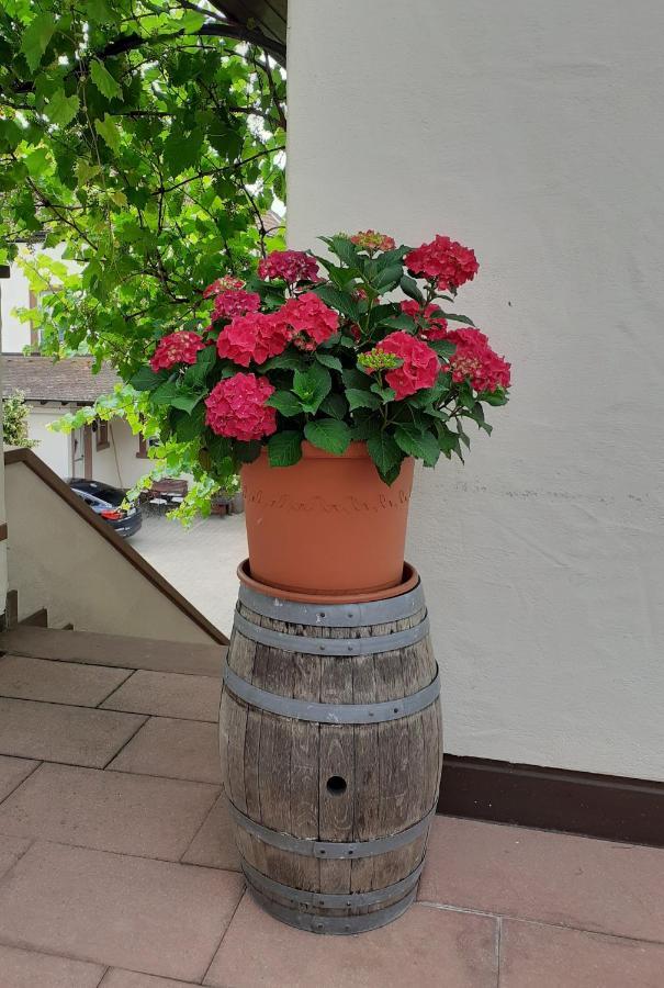 Das Landhotel Weingut Gernert Sankt Martin Zewnętrze zdjęcie